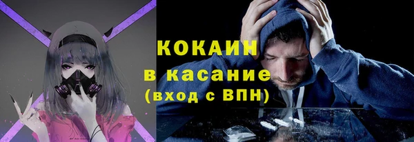 ГАЛЛЮЦИНОГЕННЫЕ ГРИБЫ Аркадак