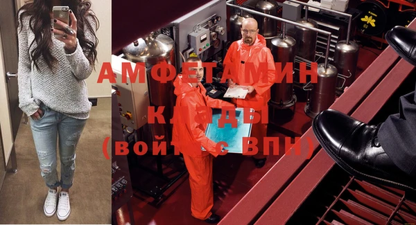 ГАЛЛЮЦИНОГЕННЫЕ ГРИБЫ Аркадак