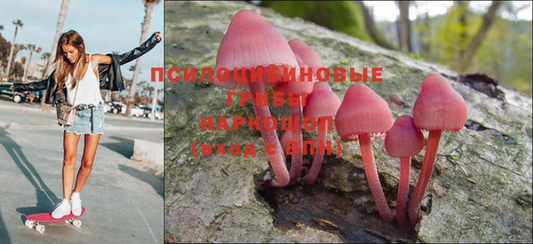 ГАЛЛЮЦИНОГЕННЫЕ ГРИБЫ Аркадак